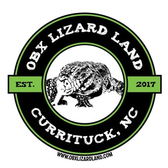 OBX Lizard Land Currituck County NC logo