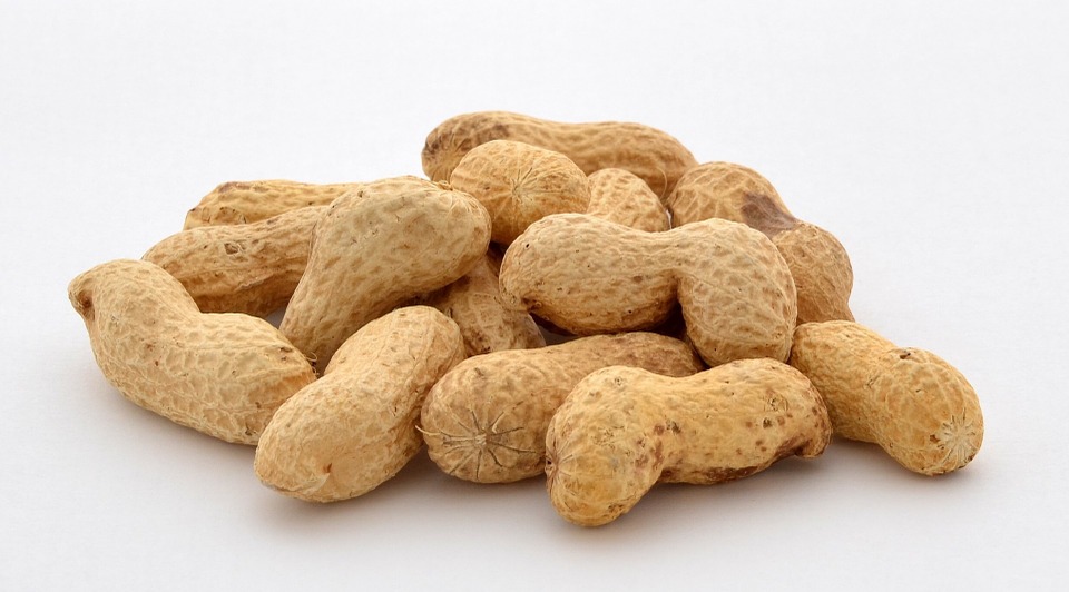 Nut-Natural-Snack-Nuts-Healthy-Peanuts-Food-316472.jpg