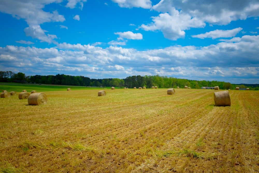 farms and land for sale in nc